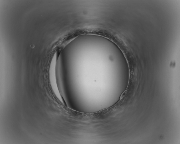 X0000091981349200709271418