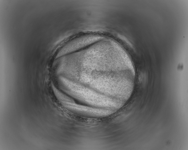 X0000091981350200709271418