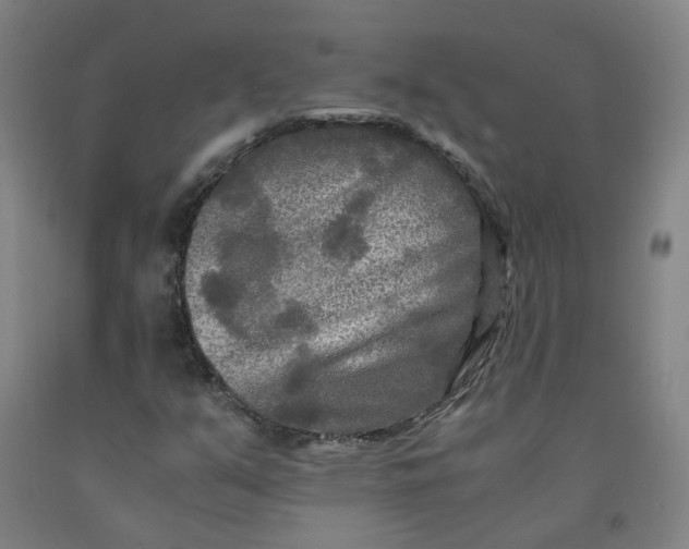 X0000091981351200709271418