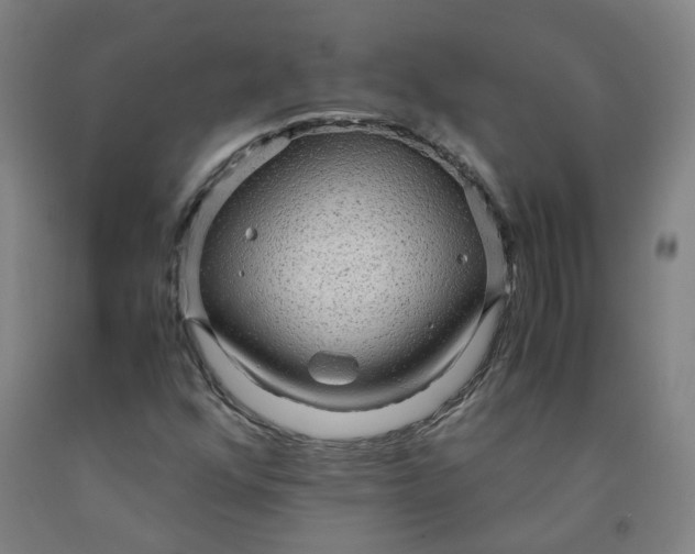 X0000091981352200709271418