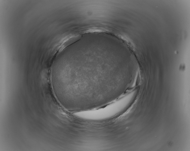 X0000091981353200709271418