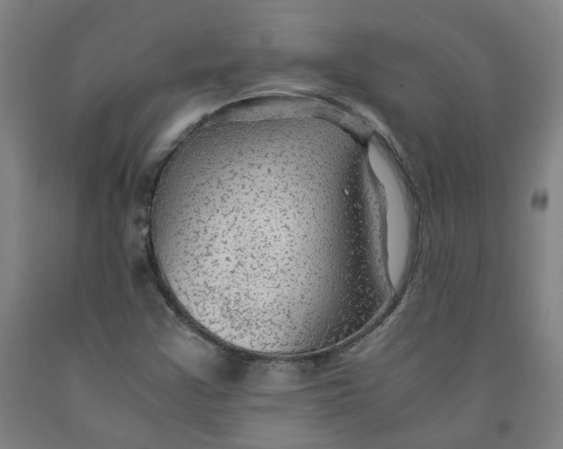 X0000091981355200709271418