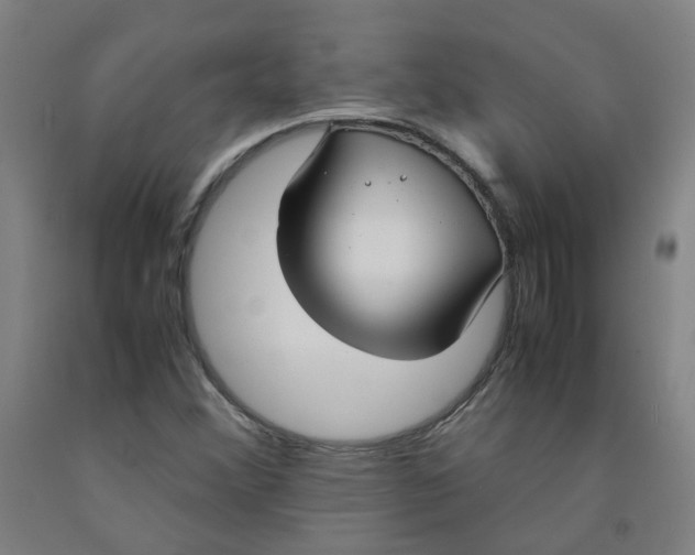 X0000091981356200709271418