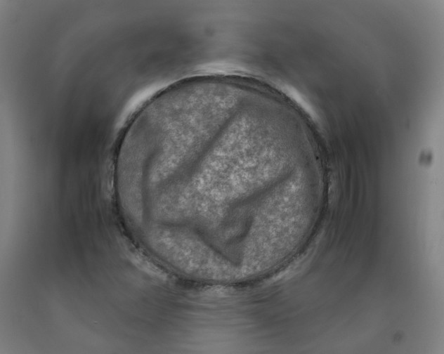 X0000091981358200709271418