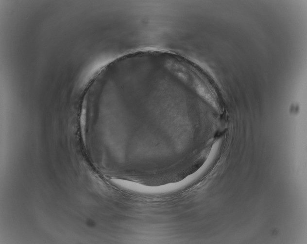 X0000091981359200709271418