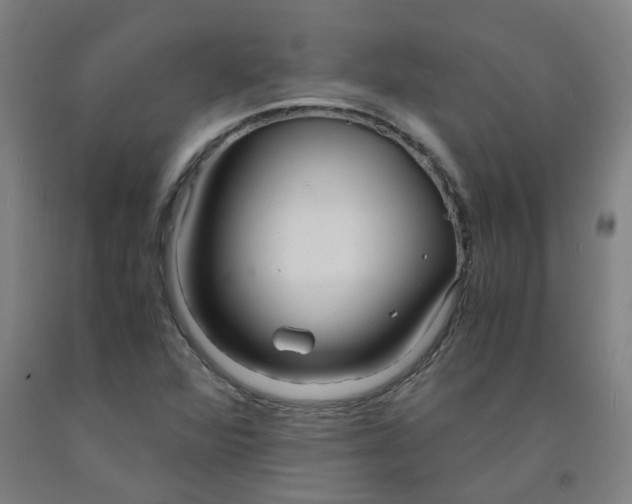 X0000091981360200709271418