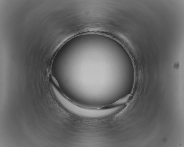 X0000091981361200709271418