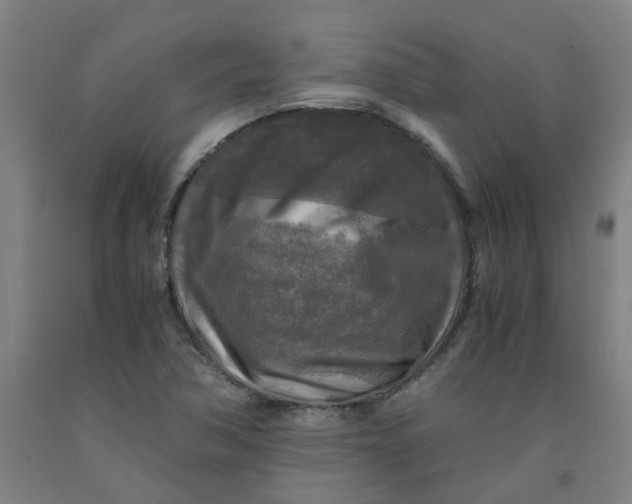 X0000091981362200709271418