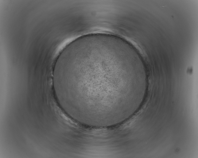 X0000091981363200709271418