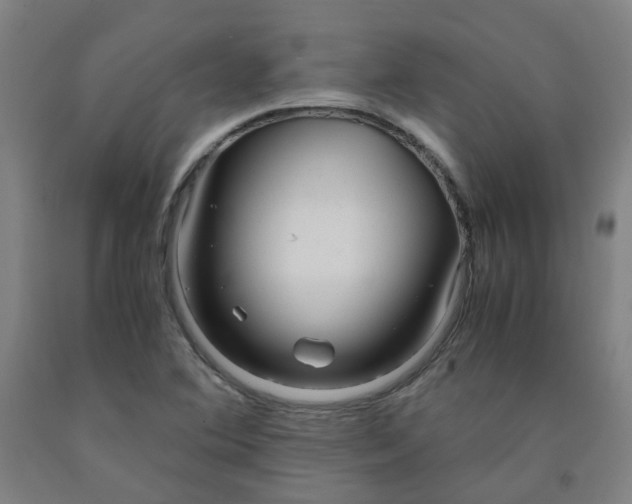 X0000091981364200709271418