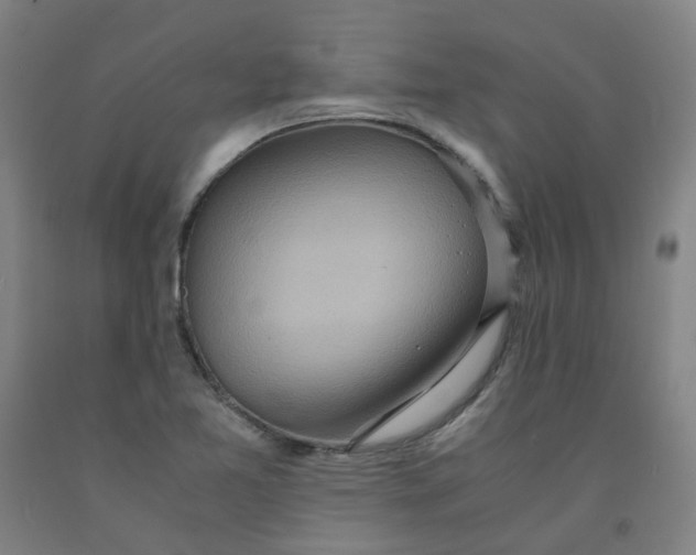 X0000091981365200709271418