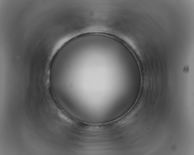 X0000091981366200709271418