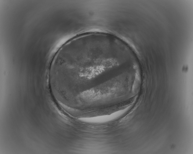 X0000091981367200709271418