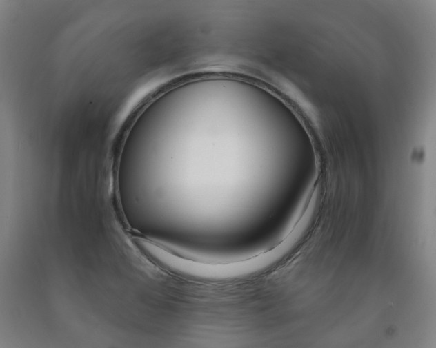 X0000091981368200709271418