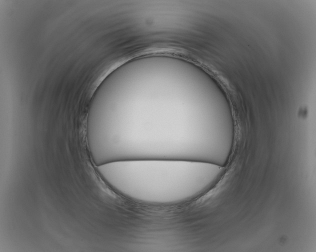 X0000091981369200709271418