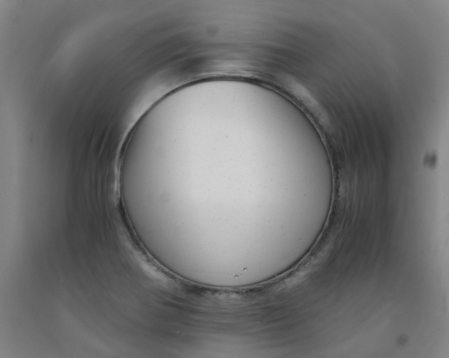 X0000091981370200709271418