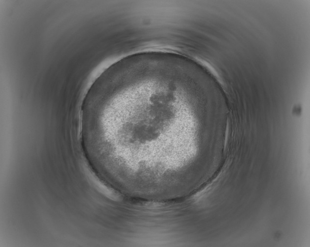 X0000091981371200709271418