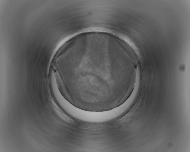 X0000091981372200709271418