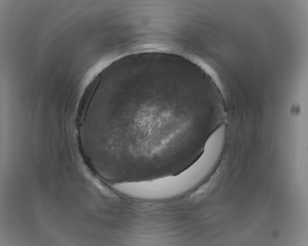 X0000091981373200709271418