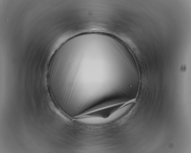 X0000091981374200709271418