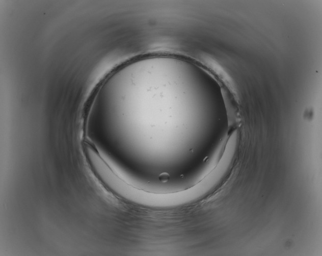 X0000091981376200709271418