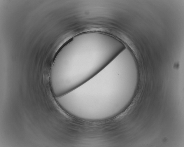 X0000091981377200709271418