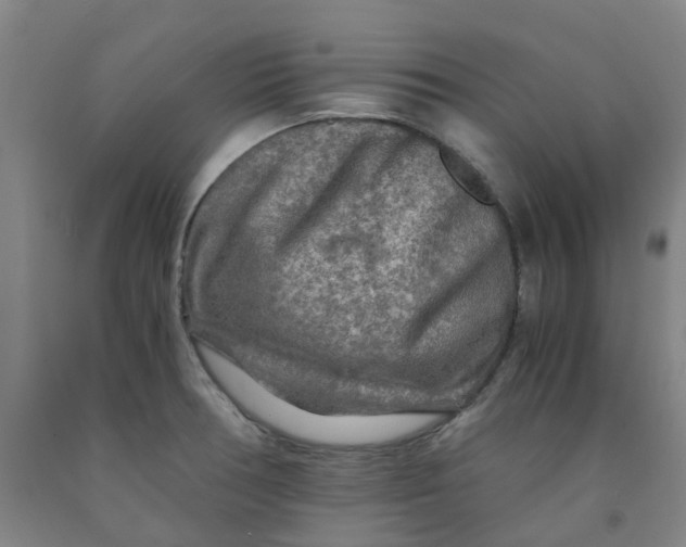 X0000091981378200709271418