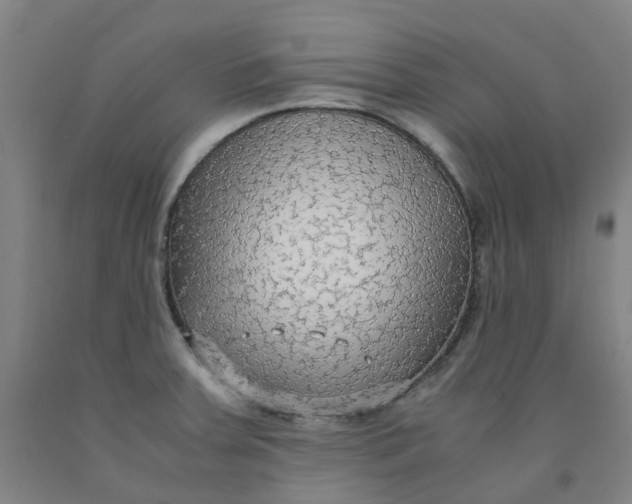 X0000091981379200709271418