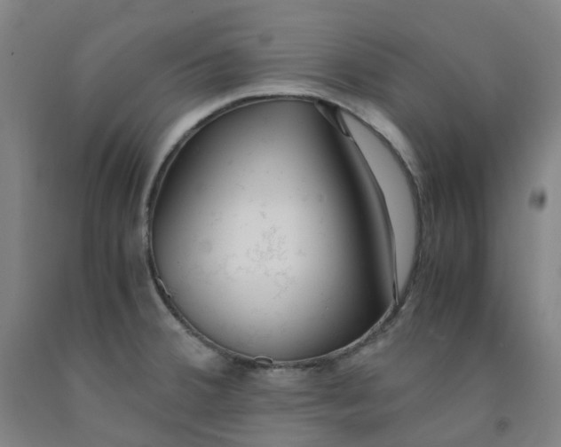 X0000091981380200709271418