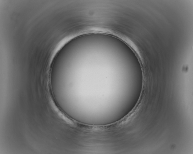 X0000091981381200709271418