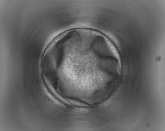 X0000091981382200709271418