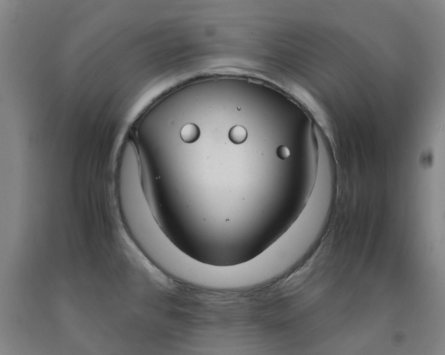 X0000091981384200709271418