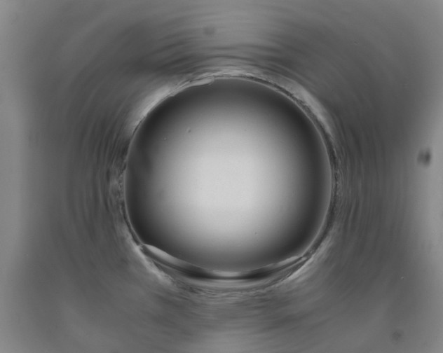 X0000091981385200709271418