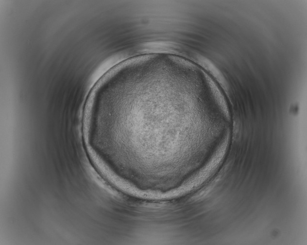 X0000091981386200709271418