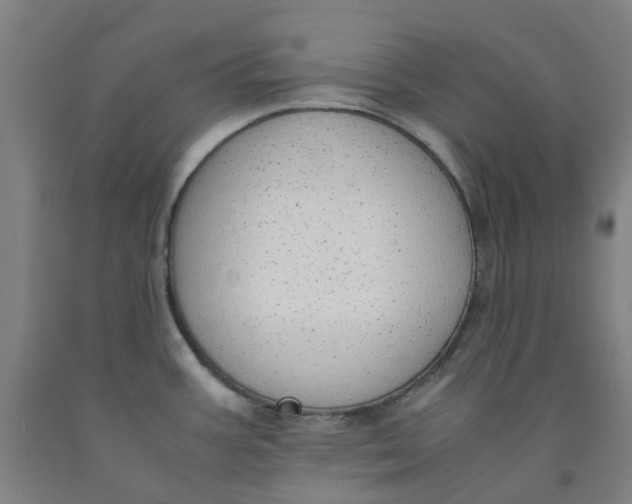 X0000091981387200709271418