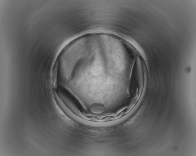 X0000091981388200709271418