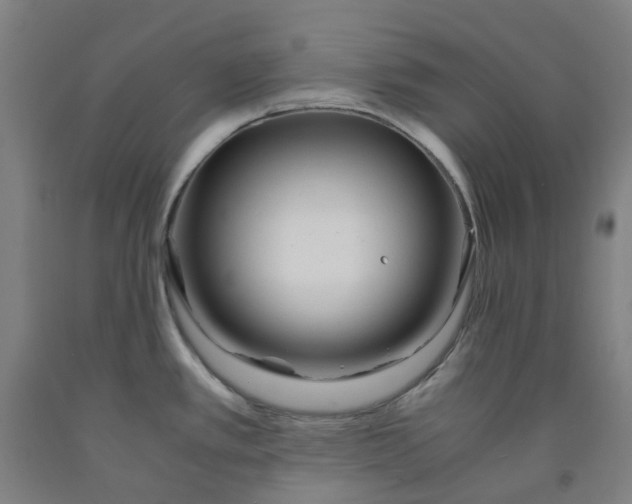 X0000091981389200709271418