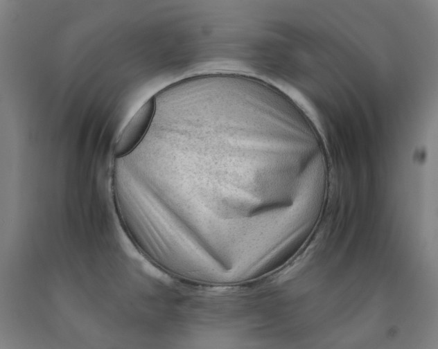 X0000091981390200709271418