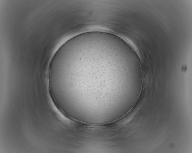 X0000091981391200709271418