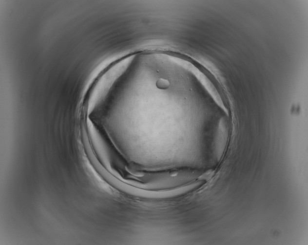 X0000091981392200709271418