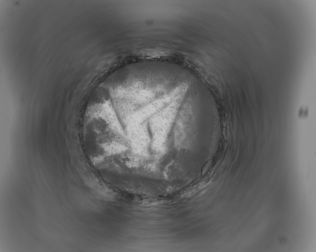 X0000091981393200709271417