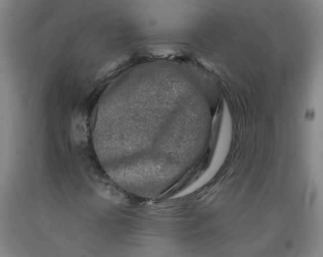 X0000091981394200709271417