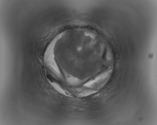 X0000091981397200709271417