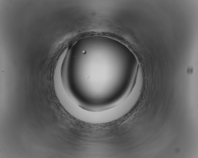 X0000091981398200709271417