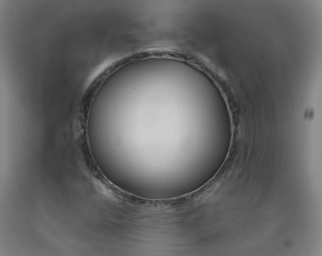 X0000091981400200709271417