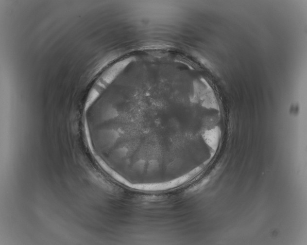 X0000091981401200709271417