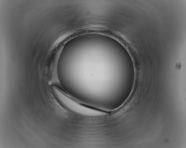 X0000091981402200709271417