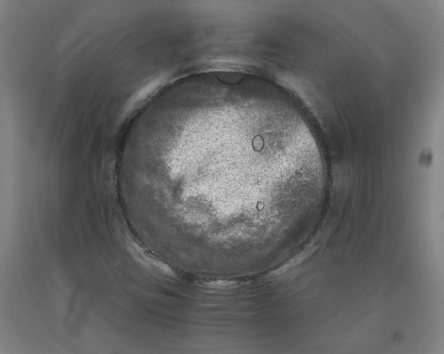 X0000091981403200709271417