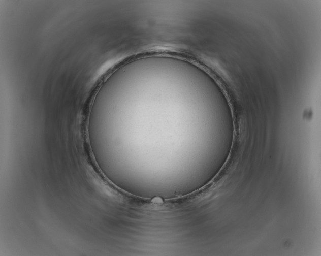 X0000091981404200709271417