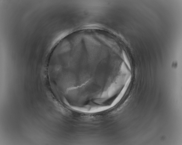 X0000091981405200709271418